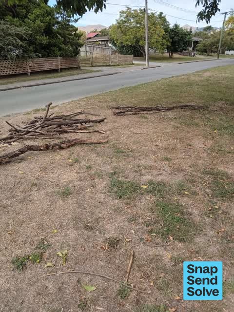 Park - General Request, a report photo
