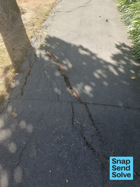 Pavement - Damaged, a report photo