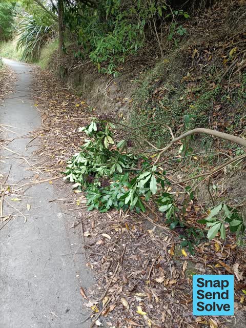 Park - General Request, a report photo