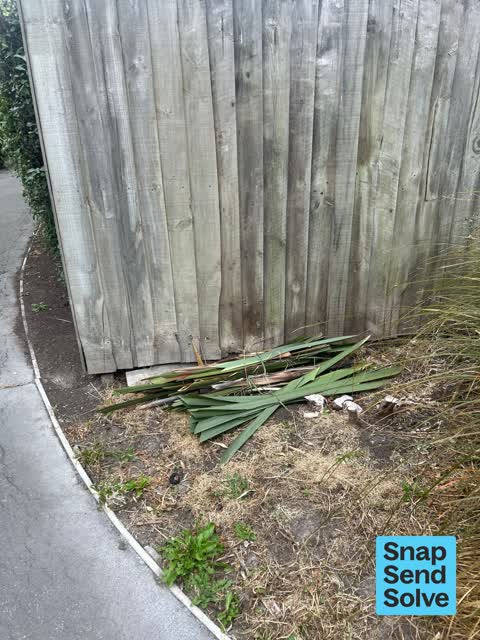 Overgrown Vegetation — a report photo