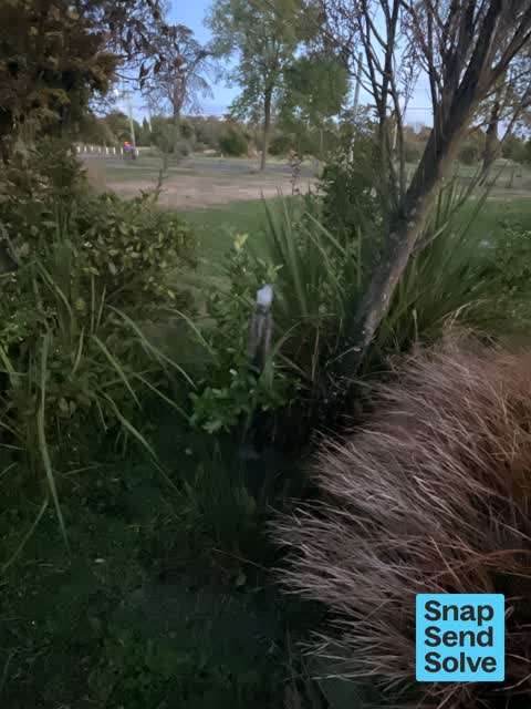 Water Leak, a report photo