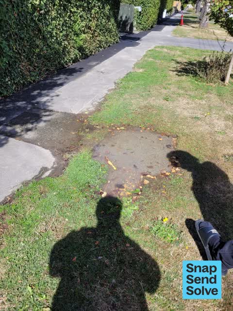 Water Leak, a report photo