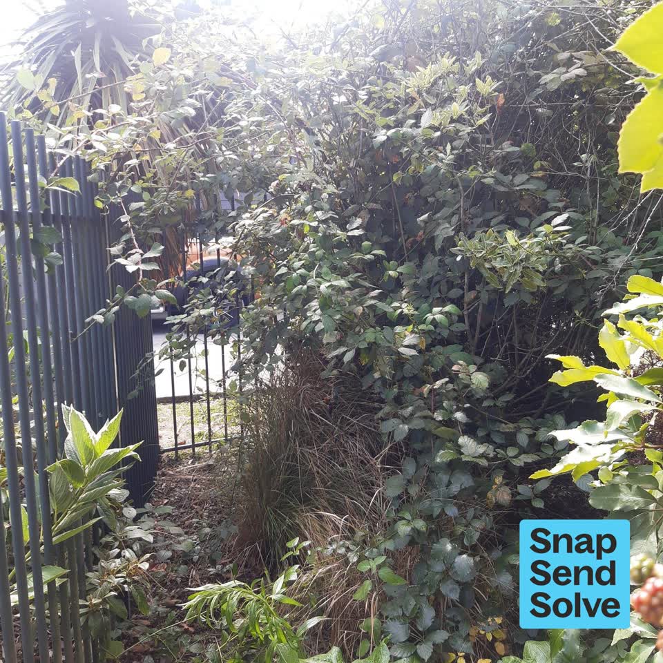 The photograph attached to this park - general request report