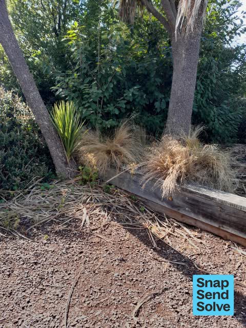 Pest / Vermin, a report photo