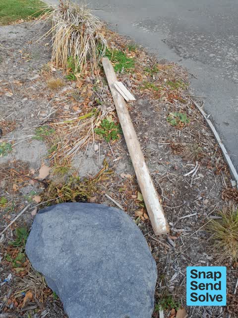 Dumped Rubbish, a report photo