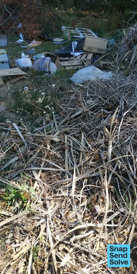 Dumped Rubbish, a report photo