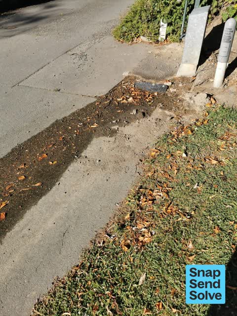 General Request, a report photo