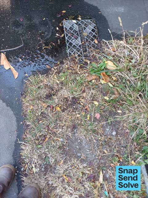 Water Leak, a report photo