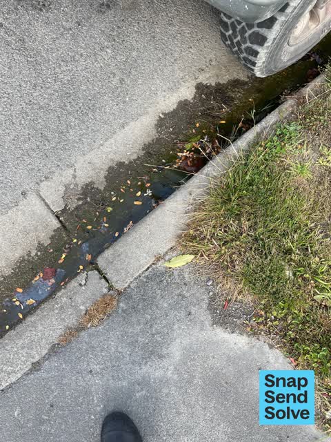 Water Leak, a report photo