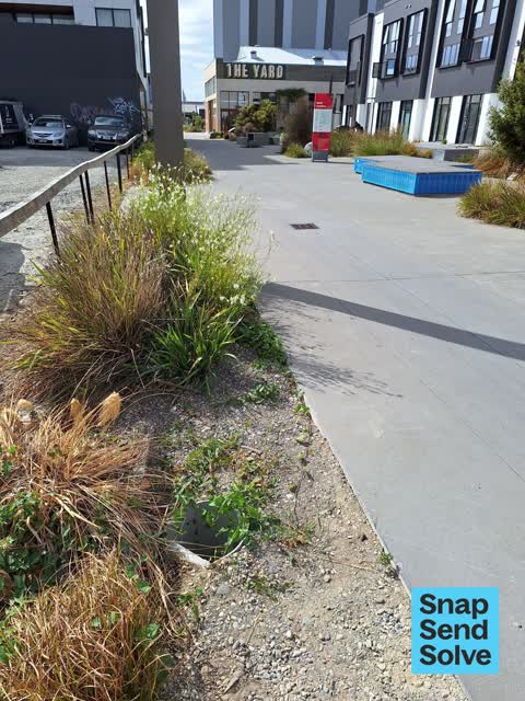 General Request, a report photo