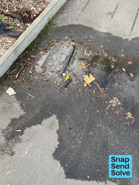 Water Leak, a report photo