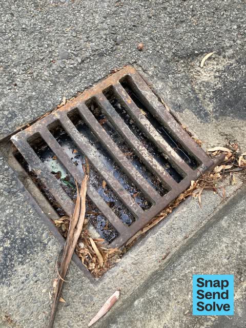 Street Gutters / Storm Water, a report photo