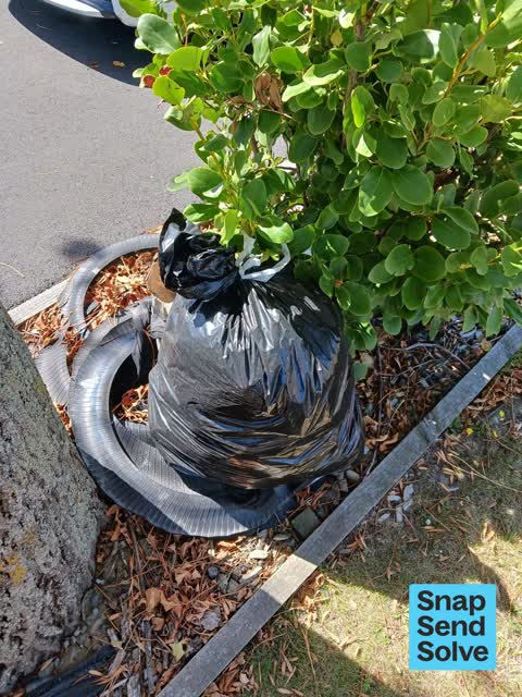 Dumped Rubbish, a report photo