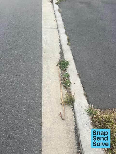 Street Gutters / Storm Water, a report photo