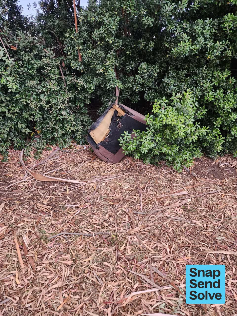 The photograph attached to this dumped rubbish report