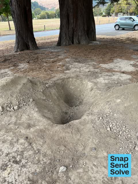 Park - General Request, a report photo