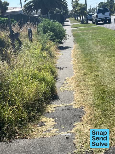 Accessibility, a report photo