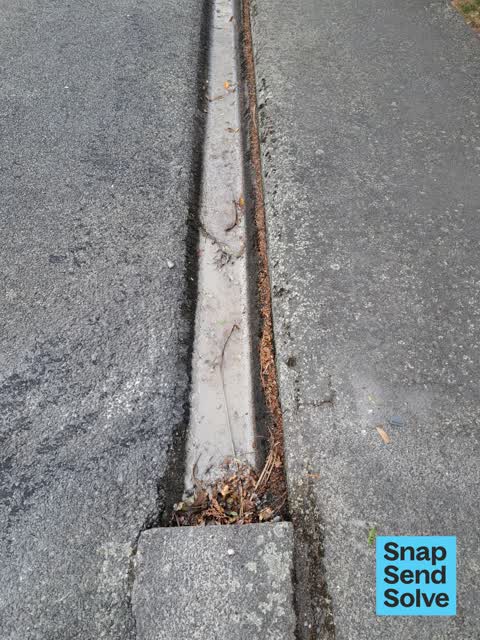 Street Gutters / Storm Water, a report photo