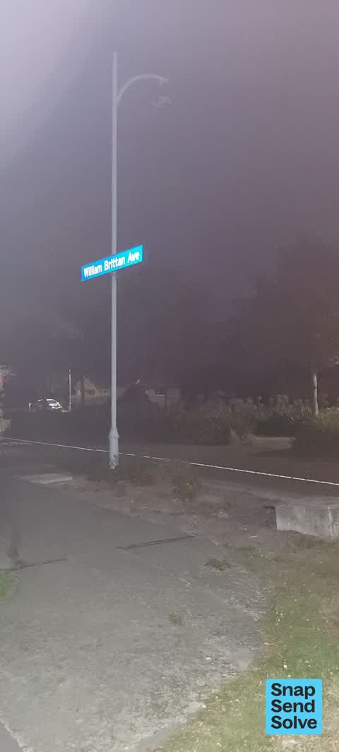 Street Light Outage, a report photo