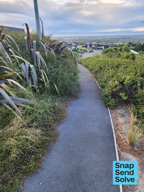 Overgrown Vegetation, a report photo