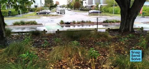 Dumped Rubbish — a report photo