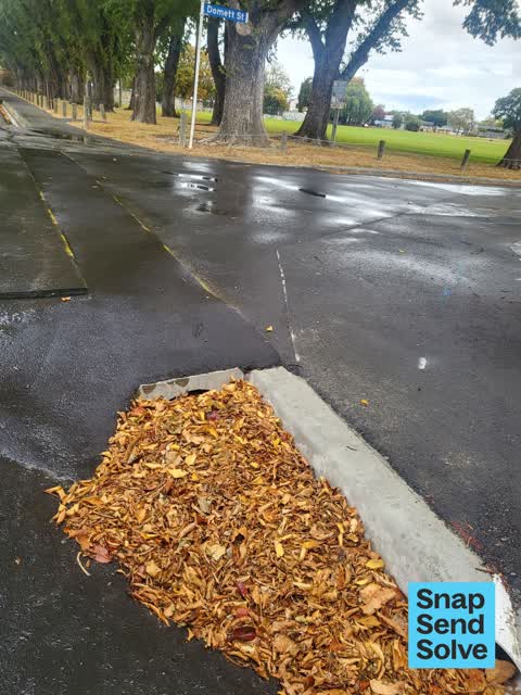Street Gutters / Storm Water — a report photo
