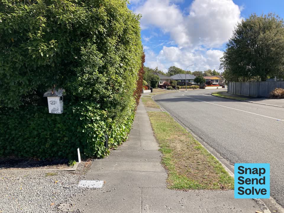 The photograph attached to this overgrown vegetation report