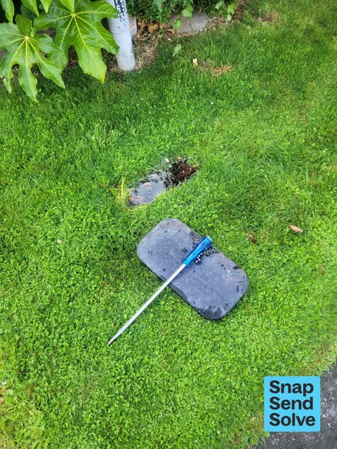 Water Leak, a report photo