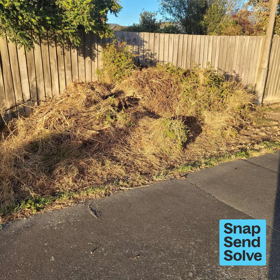 The photograph attached to this overgrown vegetation report