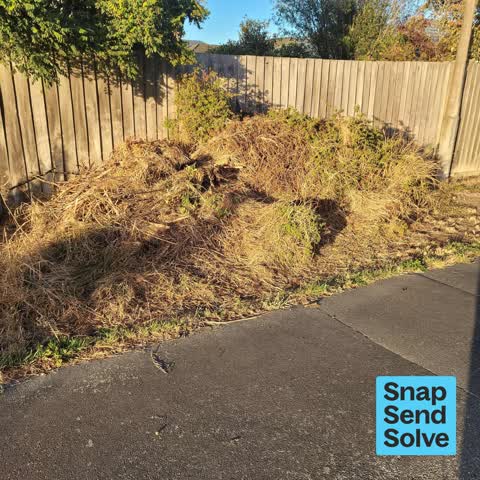 Overgrown Vegetation, a report photo