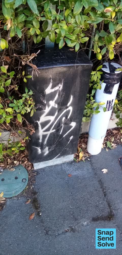 Graffiti, a report photo