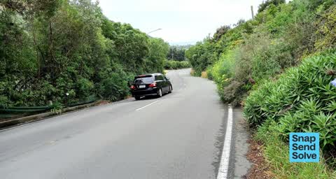 Overgrown Vegetation, a report photo