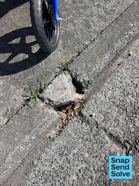 Pavement - Damaged, a report photo