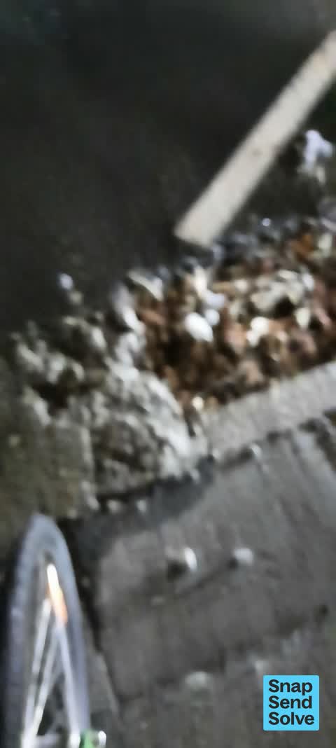 Sewer - Leak / Blockage, a report photo