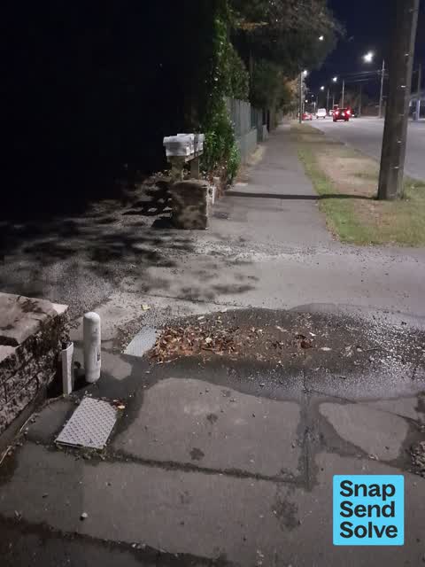 Water Leak, a report photo