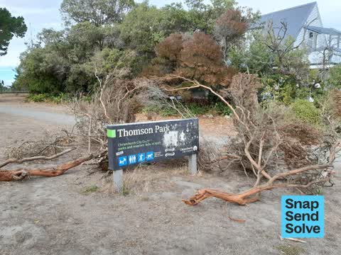 Fallen Tree — a report photo