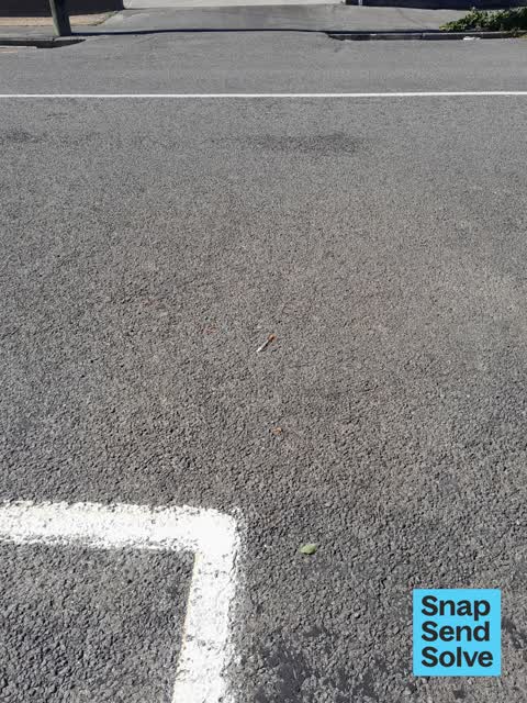 Litter, a report photo