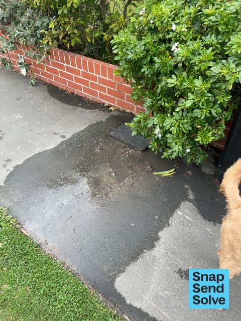 Water Leak, a report photo
