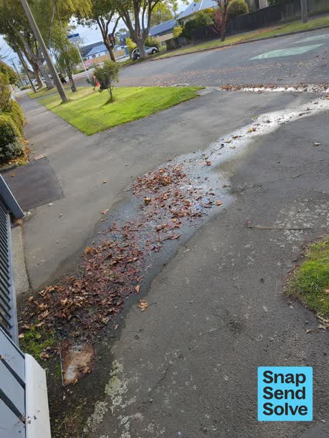 Water Leak, a report photo