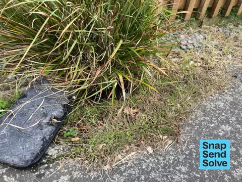 Water Leak, a report photo