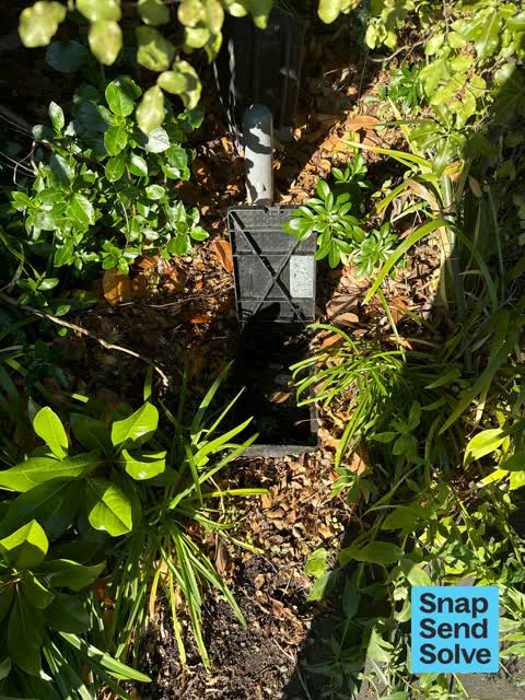 Water Leak, a report photo