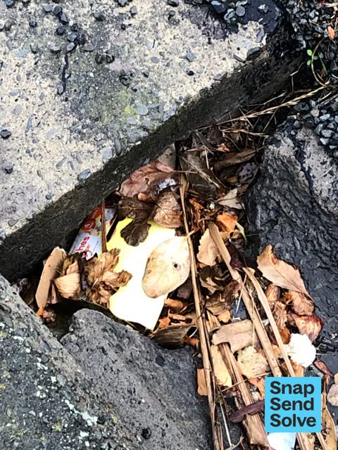 Pavement - Damaged, a report photo