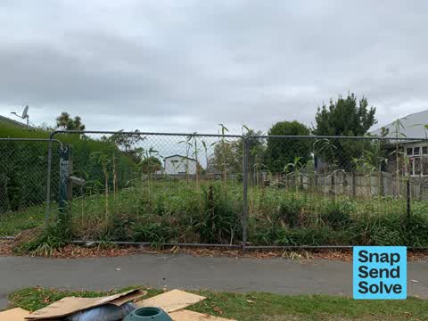 General Request — a report photo