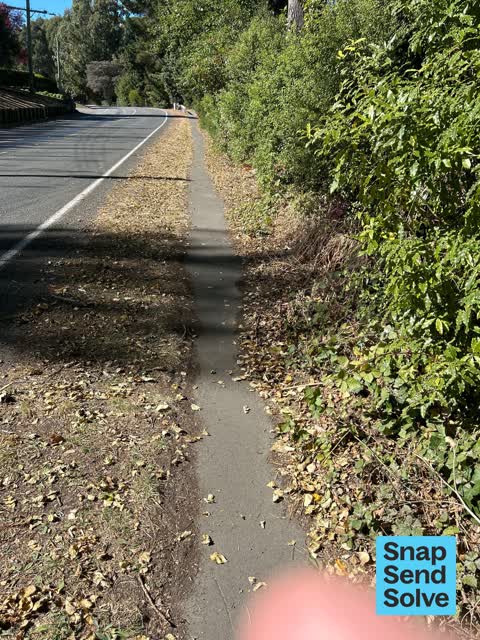 Accessibility, a report photo