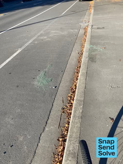 Litter, a report photo