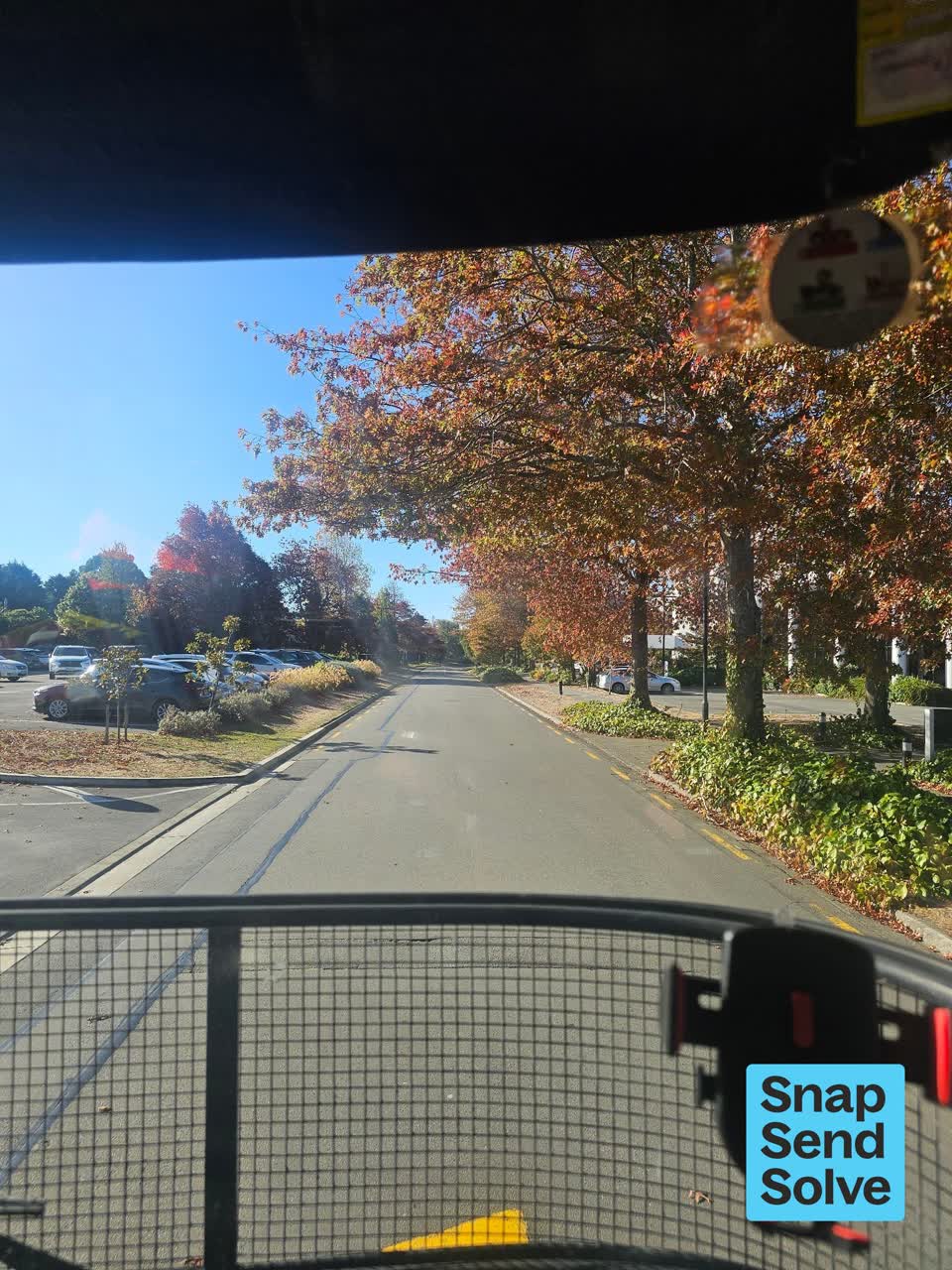 The photograph attached to this trees - general report