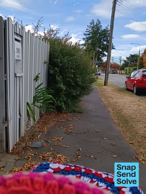 Overgrown Vegetation, a report photo