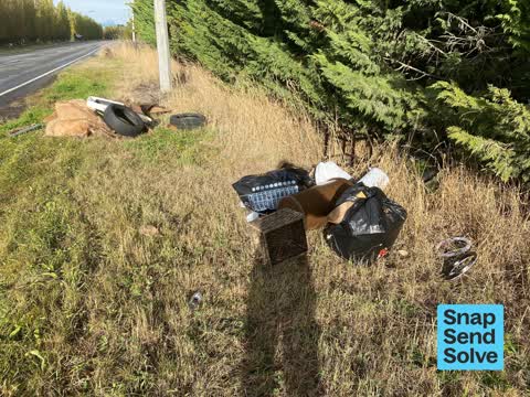 Dumped Rubbish, a report photo