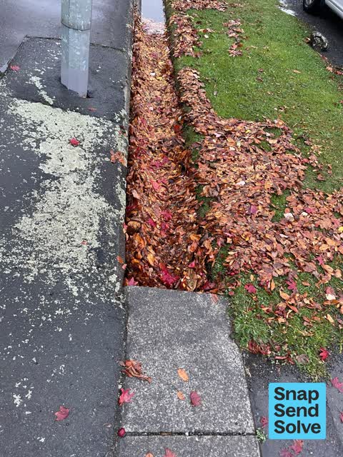 Flooding, a report photo