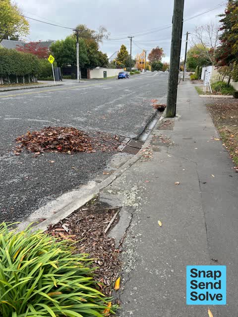 Street Gutters / Storm Water — a report photo